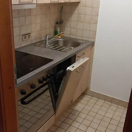 Haus Enere Au Antonia Und Milan Apartamento Todtmoos