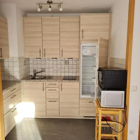Haus Enere Au Antonia Und Milan Апартаменты Тодтмос