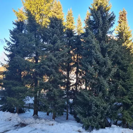 Haus Enere Au Antonia Und Milan * Todtmoos